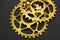 Golden oval bicycle chainring