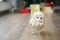 Golden owl on a wooden floor looks in your party. a background from New Year`s gifts