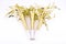 Golden painted three party whistles on a white background