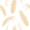 Golden Pampas grass seamless vector pattern. Silver panicle Cortaderia selloana. Floral ornamental grass