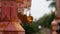 Golden paper Bodhi leaves attached to the Buddhist hanging lamp at a temple, moving on a breezy day