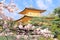 Golden Pavilion and blooming sakura, Kyoto, Japan