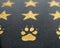 Golden Paw Print and Stars on Navy SEALs Monument