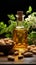 Golden peanut oil bottle set beside a charming arrangement of peanuts and leaves