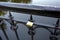 Golden pented padlock hangs on black metal brifge fence closeup view