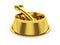 Golden pets bowl with gold bone