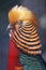 Golden Pheasant