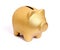 Golden piggy bank from front side right