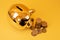 Golden piggy bank with money towers on yellow background. Stack of euro coins near golden money box. Money pig, money saving,