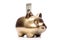 Golden piggybank