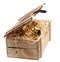 Golden piggybank in box with wood-wool