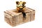 Golden piggybank on wooden case locked with padloc