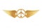 Golden Pilot Wing Emblem, Badge or Logo Symbol. 3d Rendering