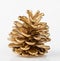 Golden Pine cone