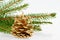 Golden pine cone with conifer