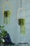 Golden plant hangers in stylish and luxury living room.