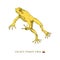 Golden poison frog in jump. Toad vector sketch.