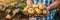 Golden potato held in hand, selection of potatoes on blurred background with copy space