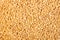 Golden puffed wheat grain background, breakfast cereal