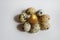 Golden quail egg with ordinary eggs on a white background