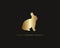 Golden rabbit shape  logo vector premium