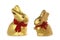 Golden rabbits