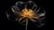 Golden x-ray image of a ethereal flower on black. Fantasy mystical blossom. Generative AI