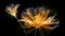 Golden x-ray image of a ethereal flower on black. Fantasy mystical blossom. Generative AI