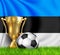 Golden realistic winner trophy cup and soccer ball isolated on national ESTONIA flag. National team is the winner of the