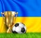 Golden realistic winner trophy cup and soccer ball isolated on national UKRAINE flag. National team is the winner of the football.