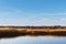 Golden reed landscape and wind farm