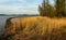 Golden reeds and a curved dam