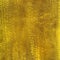 Golden reptile leather texture