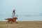 Golden Retriever accompanies its owner for a walk by the river