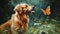 Golden Retriever with Butterfly