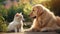 Golden Retriever with Cat