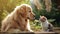 Golden Retriever with Cat