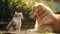 Golden Retriever with Cat