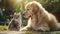 Golden Retriever with Cat