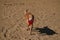 Golden Retriever with Christmas Santa Hat at the Beach at Golden Hour Playing.