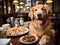 Golden Retriever dining with fake food