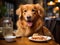 Golden Retriever dining with fake food