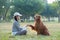 The golden retriever dog accompanies its owner in the park grass