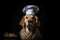 Golden Retriever Dog Dressed As A Chef On Black Background