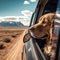 Golden Retriever dog on journey by car, looking from window. Furry companion travels along roads