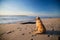 Golden retriever dog waiting on the beach