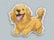Golden Retriever Fun: Happy and Annoying Sticker Set with Cute and Dizzy Cartoon Designs