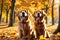 Golden Retriever Playing in Vibrant Leaves, Excitement Sparkling in Eyes, Sunbeams Filtering Through the Trees