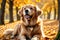 Golden Retriever Playing in Vibrant Leaves, Excitement Sparkling in Eyes, Sunbeams Filtering Through the Trees