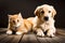Golden Retriever Puppy And Cute Kitten Lie Together. Isolated On white Background. Png. Two Puppies Post-Processed. Generative AI